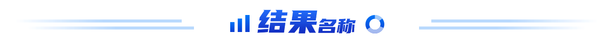 结果名称