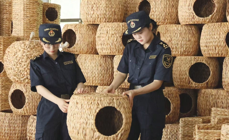 合肥海关所属阜阳海关关员对出口宠物用品开展现场监管[1]